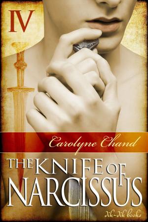 Book cover of The Knife of Narcissus Part 4