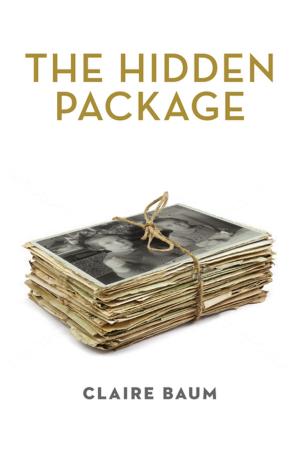 Cover of the book The Hidden Package by Alex Levin