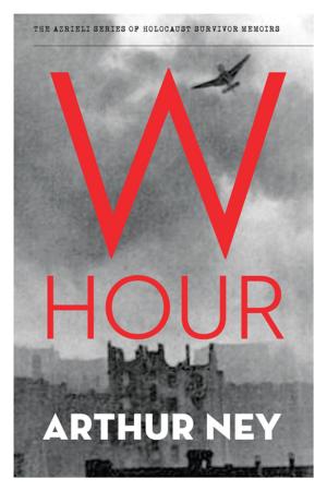 Cover of the book W Hour by George Stern