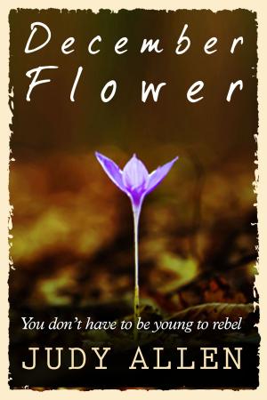 Cover of the book December Flower by Rhys Bezzant