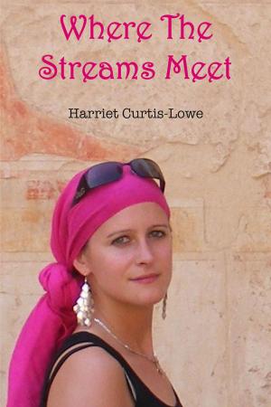 Cover of the book Where the Streams Meet by David Carr