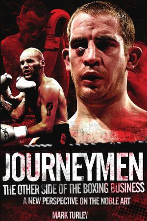 Cover of the book Journeymen by Doug Richards