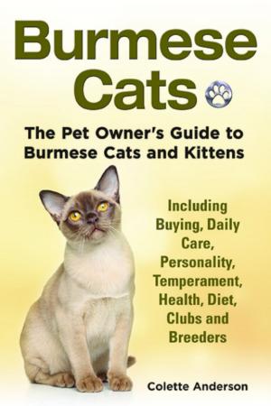 Cover of the book Burmese Cats, The Pet Owner’s Guide to Burmese Cats and Kittens Including Buying, Daily Care, Personality, Temperament, Health, Diet, Clubs and Breeders by Colette Anderson