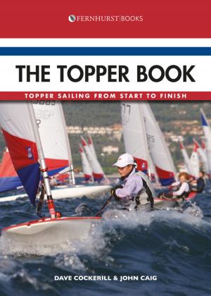 Book cover of The Topper Book