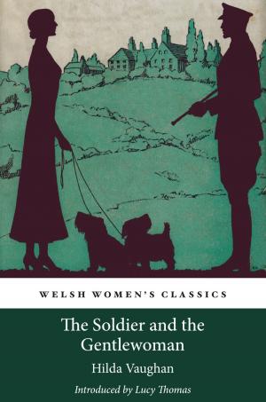 Book cover of The Soldier and the Gentlewoman