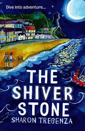 Cover of the book The Shiver Stone by Wendy Meddour