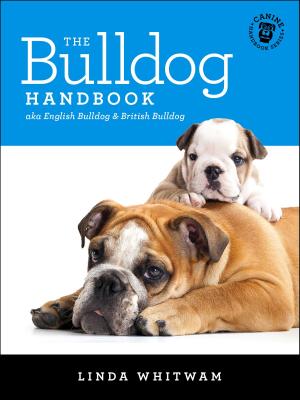 Cover of the book The Bulldog Handbook by Mandy Rice-Davies