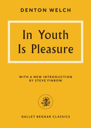 Book cover of In Youth Is Pleasure