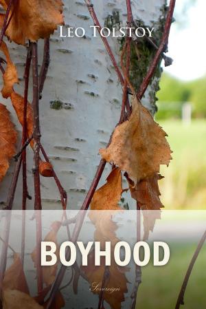 Cover of the book Boyhood by Voltaire