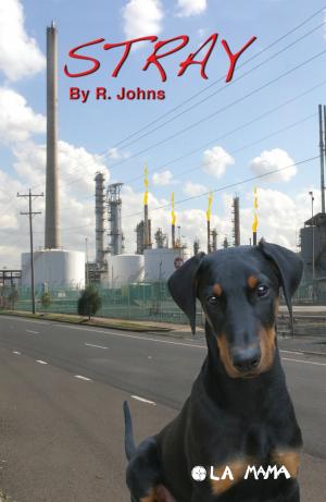 Cover of the book Stray by Gail Jones