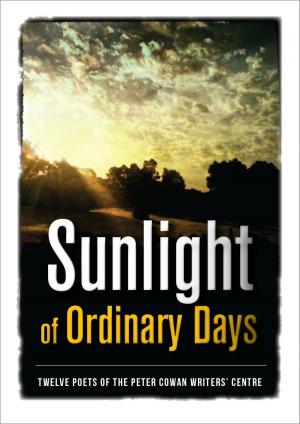 Book cover of Sunlight of Ordinary Days