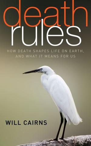 Cover of the book Death Rules by Brian Kavanagh