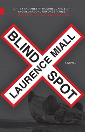 Cover of the book Blind Spot by Garry Ryan