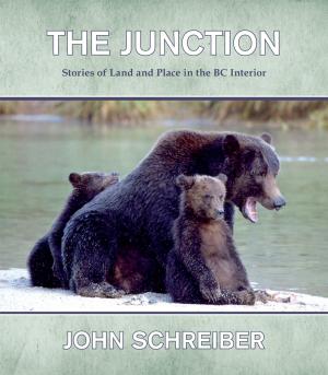 Cover of the book The Junction by Nikki van Schyndel