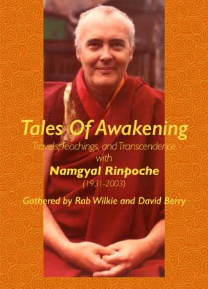 Cover of the book Tales Of Awakening by 樓宇烈, 赫曼．李奧納等