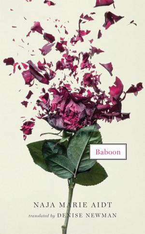 Cover of the book Baboon by Marie NDiaye
