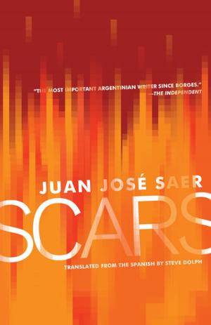 Cover of the book Scars by Damián Tabarovsky