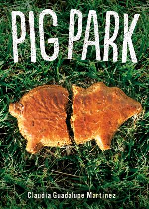 Book cover of Pig Park