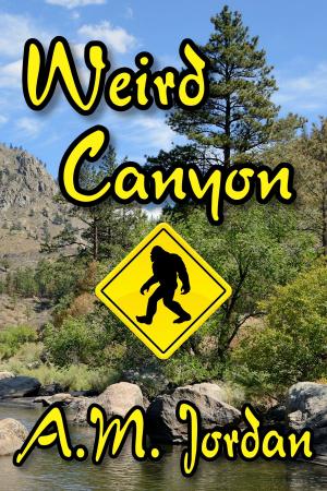 Cover of the book Weird Canyon by Nancy Richardson Fischer