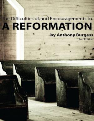 Cover of the book The Difficulties of and the Encouragements to a Reformation by C. Matthew McMahon
