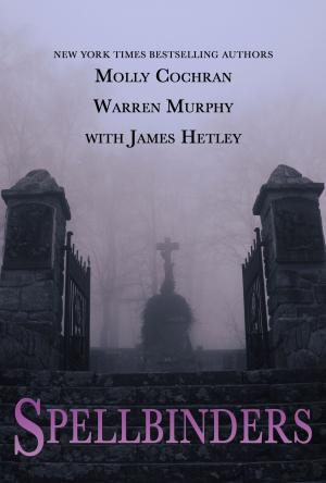 Cover of Spellbinders Collection