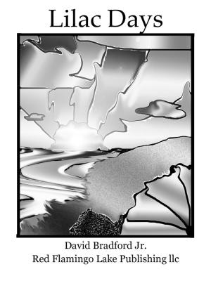 Cover of the book Lilac Days by David Bradford Jr.