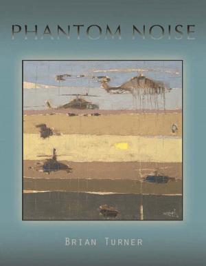 Cover of the book Phantom Noise by Kaveh Akbar