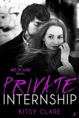 Cover of the book Private Internship by Amanda Marin