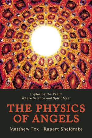 Cover of the book The Physics of Angels by Olivia   Ames Hoblitzelle