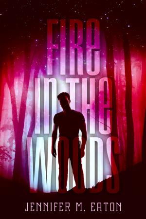 Cover of the book Fire in the Woods by Jennifer Jenkins