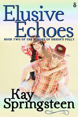 Cover of the book Elusive Echoes by Angela Schroeder, Quinlan Schroeder