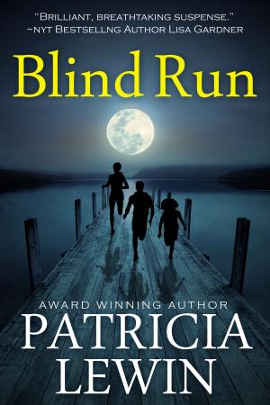 Book cover of Blind Run