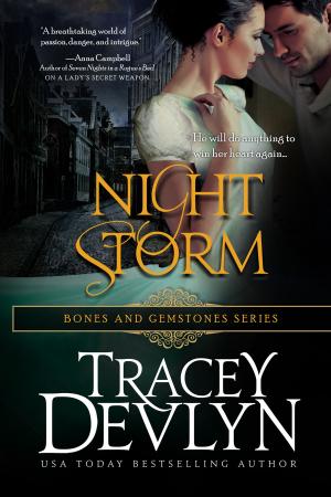 Cover of the book Night Storm by Cuger Brant