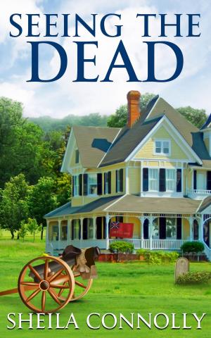 Cover of the book Seeing the Dead by Gail Oust