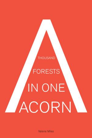 Cover of the book A Thousand Forests in One Acorn by Juan José Saer