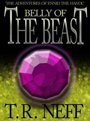 Book cover of Belly of the Beast (The Adventures of Ennid the Havoc)