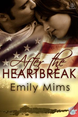 Cover of the book After the Heartbreak by Susan Mac Nicol