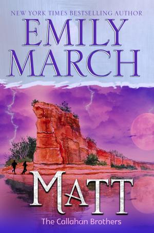 Cover of the book Matt by Bonnie R. Paulson
