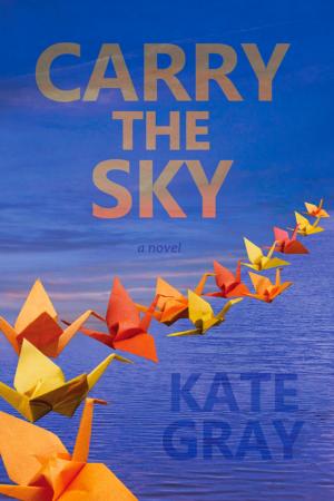 Cover of the book Carry the Sky by Roger McTair