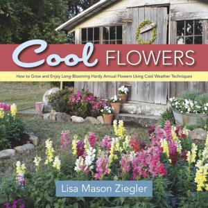 Cover of the book Cool Flowers by Karen M. Bush, Louise S. Machinist, Jean McQuillin