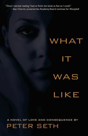 Cover of the book What it Was Like by Brian O'Grady