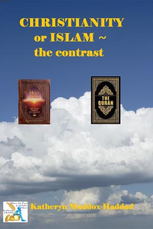 Book cover of Christianity or Islam