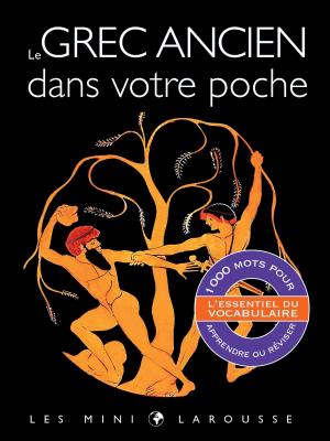 Cover of the book Le grec ancien dans votre poche by Audrey Cosson