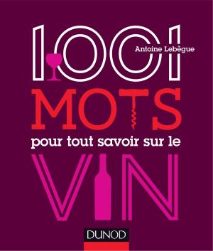Cover of the book 1001 mots pour tout savoir sur le vin by Olivier Meier