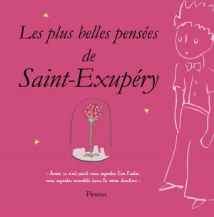 Cover of the book Les plus belles pensées d'Antoine de Saint-Exupéry by Mayumi