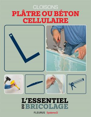 Cover of the book Cloisons - plâtre ou béton cellulaire by Claire Renaud, Vincent Villeminot
