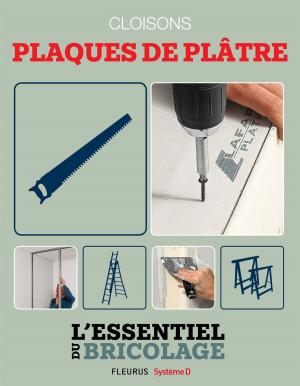 Cover of the book Portes, cloisons & isolation : cloisons - plaques de plâtre by Maurice Leblanc