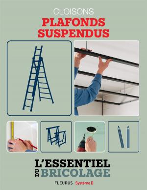Cover of the book Portes, cloisons & isolation : cloisons - plafonds suspendus by Emmanuelle Lepetit