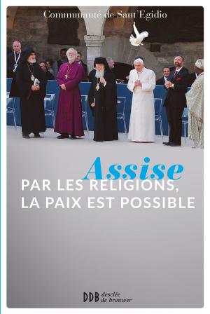 Cover of the book Assise : par les religions, la paix est possible by Daniel Vigne