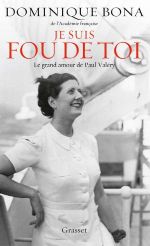 Cover of the book Je suis fou de toi by Karine Tuil